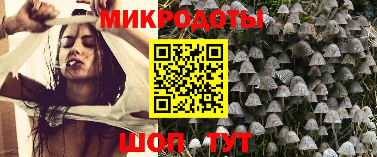 где можно купить наркотик  Псилоцибиновые грибы Magic Shrooms  Вход с VPN  Новочебоксарск 