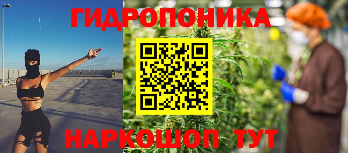 Новочебоксарск  МАРИХУАНА OG Kush  Конопля VHQ  Вход с VPN  Бошки Шишки Amnesia 